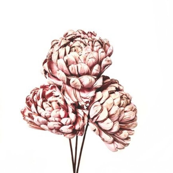 SHAVED WOOD SOLA CHRYSANTHEMUM - Picture 3 of 7